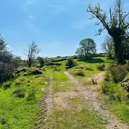 펜션 The - Bellman House